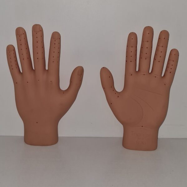 Model dłoni - lewej