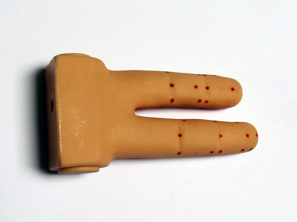 Model palców - obrazek 2