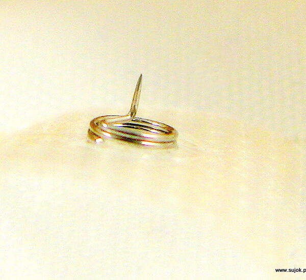 Igły do aurikuloterapii