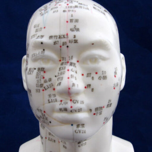 Model głowy - obrazek 3